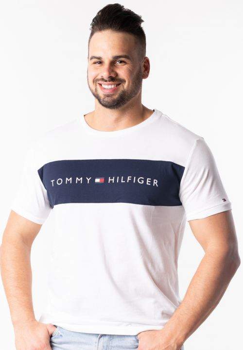 Pánske tričko Tommy Hilfiger UM0UM01170 L Čierna